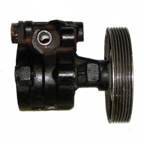 Servopumpe BRN84S