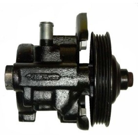 Servopumpe BRN88S