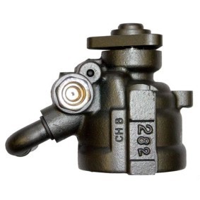 Servopumpe BRV51S