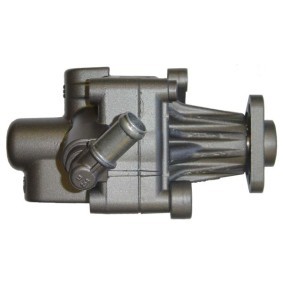 Servopumpe BRV51Z
