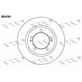 Bremsscheibe von FTE