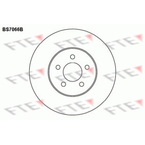 Bremsscheibe von FTE