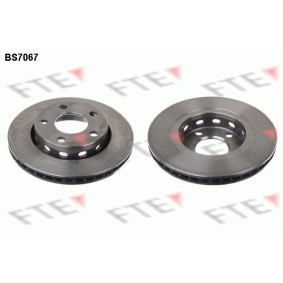 Bremsscheibe von FTE