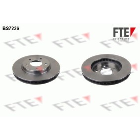 Bremsscheibe von FTE