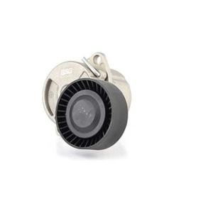 Comprar Brazo tensor, correa poli V de BSG BSG 15-615-005 a bajo precio de 62,24 €