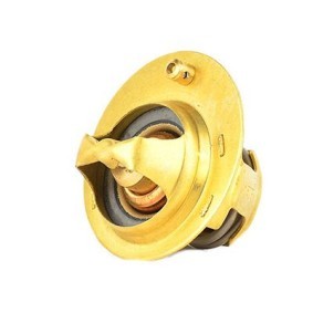 Kühlwasserthermostat von BSG