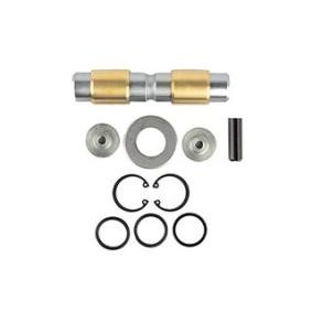 Achetez des Kit d'assemblage, pivot de fusée d'essieu BSG BSG 60-445-006 à prix pour 49,46 €