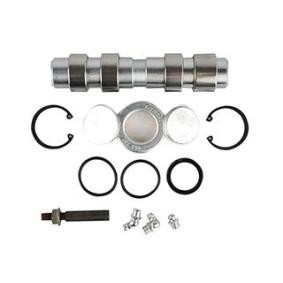 Achetez des Kit d'assemblage, pivot de fusée d'essieu BSG BSG 60-445-007 à prix pour 53,67 €