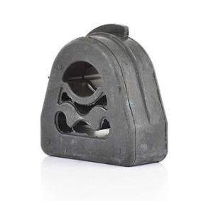 Halter, Abgasanlage von BSG
