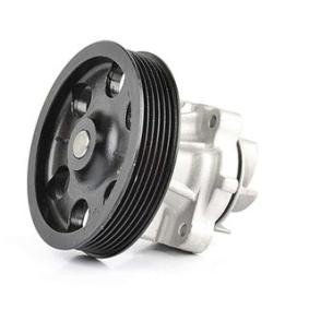 Achetez des Pompe à eau BSG BSG 65-500-005 à prix pour 55,15 €