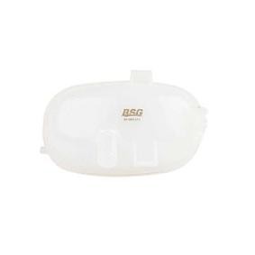 Osta Nestesäiliö, jäähdytysneste BSG:llä BSG 65-550-011 edullisesti hintaan 58,60 €