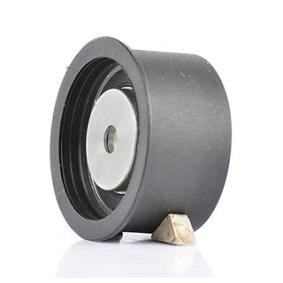 Comprar Polea de inversión y guía, correa de distribución de BSG BSG 65-615-003 a bajo precio de 35,78 €