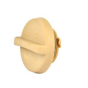Achetez des Bouchon de remplissage d'huile BSG BSG 65-700-199 à prix pour 25,86 €