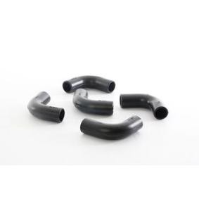 Köp Slang, ventilkåpsventilation av BSG BSG 65-720-135 till det låga priset 79,15 kr