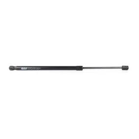 Osta Kaasujousi, tavaratila BSG:llä BSG 65-980-025 edullisesti hintaan 31,06 €