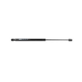 Osta Kaasujousi, tavaratila BSG:llä BSG 70-980-016 edullisesti hintaan 40,71 €