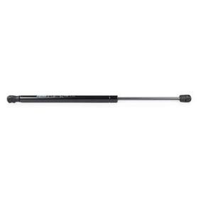 Osta Kaasujousi, tavaratila BSG:llä BSG 70-980-017 edullisesti hintaan 39,89 €