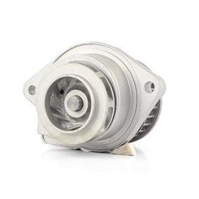 Achetez des Pompe à eau BSG BSG 90-500-003 à prix pour 48,10 €