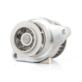 Achetez des Pompe à eau BSG BSG 90-500-004 à prix pour 48,61 €
