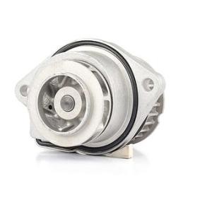 Achetez des Pompe à eau BSG BSG 90-500-007 à prix pour 46,47 €