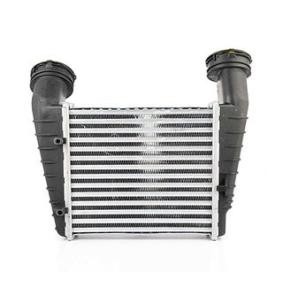 Köp Intercooler av BSG BSG 90-535-003 till det låga priset 1349,56 kr