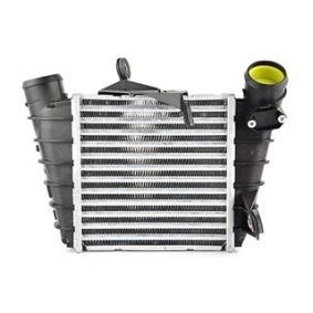 Köp Intercooler av BSG BSG 90-535-006 till det låga priset 1257,45 kr