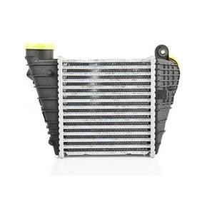 Köp Intercooler av BSG BSG 90-535-008 till det låga priset 1417,85 kr