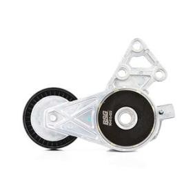 Comprar Brazo tensor, correa poli V de BSG BSG 90-615-022 a bajo precio de 52,50 €