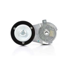 Comprar Brazo tensor, correa poli V de BSG BSG 90-615-025 a bajo precio de 60,53 €