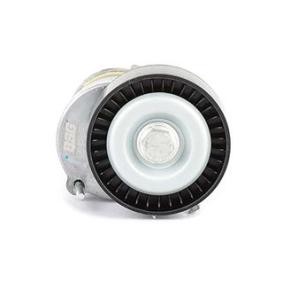 Comprar Brazo tensor, correa poli V de BSG BSG 90-615-029 a bajo precio de 52,50 €