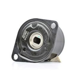 Comprar Brazo tensor, correa poli V de BSG BSG 90-615-031 a bajo precio de 57,71 €