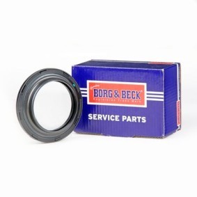 Acquista Cuscinetto volvente, Supporto ammortizz. a molla da BORG & BECK BSM5020 a buon mercato per soli 25,87 €