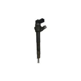 Comprar Inyector de BUGIAD BSP24854 a bajo precio de 475,82 €