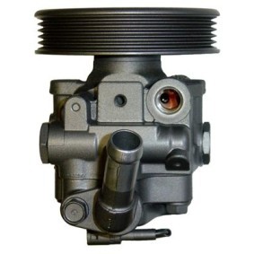 Servopumpe BSR51W