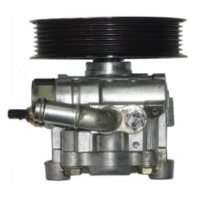 Servopumpe BTY52T