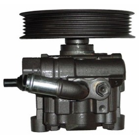Servopumpe BTY59T