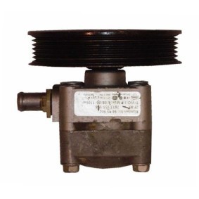 Servopumpe BVL52Z