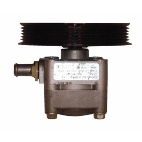 Servopumpe BVL53Z
