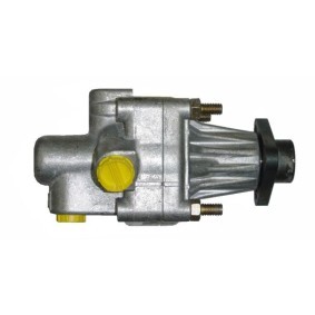Servopumpe BVW50Z