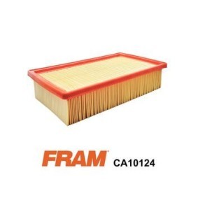 Luftfilter CA10124