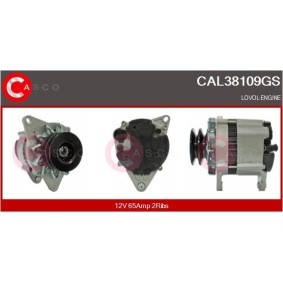 Lichtmaschine CAL20134AS