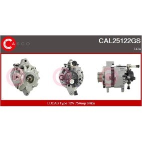 Lichtmaschine CAL25122GS