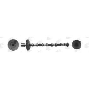 Acquista Albero a camme da AE CAM973 a buon mercato per soli 252,52 €