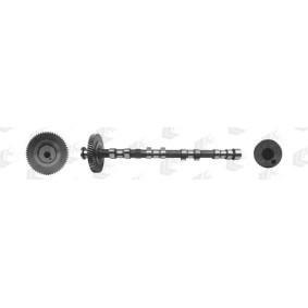 Acquista Albero a camme da AE CAM974 a buon mercato per soli 216,81 €