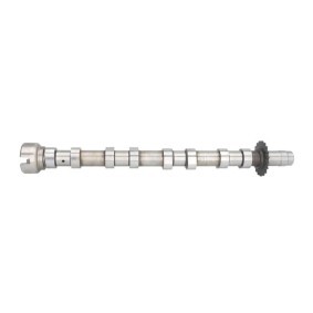 Acquista Albero a camme da AE CAM975 a buon mercato per soli 198,31 €