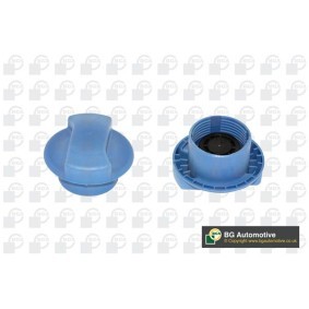 Achetez des Bouchon de liquide de refroidissement BGA CC3006 à prix pour 14,12 €
