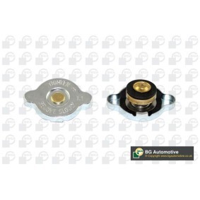 Achetez des Bouchon de liquide de refroidissement BGA CC3014 à prix pour 8,31 €