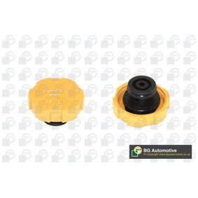 Achetez des Bouchon de liquide de refroidissement BGA CC3023 à prix pour 4,69 €
