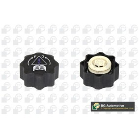 Osta Korkki, paisuntasäiliö BGA:llä CC3029 edullisesti hintaan 7,65 €