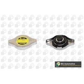 Achetez des Bouchon de liquide de refroidissement BGA CC3034 à prix pour 9,88 €